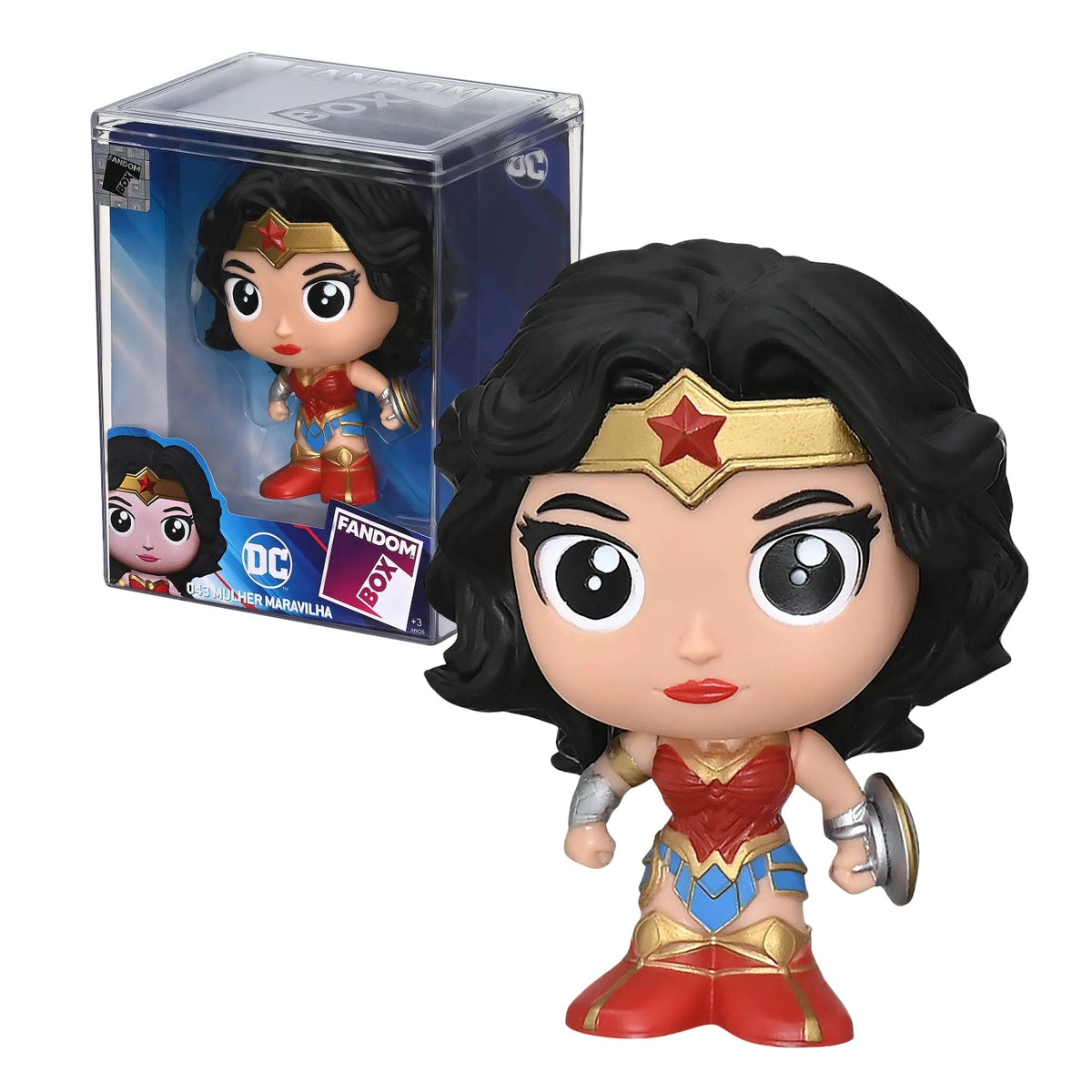 Fandom Box Mulher - Maravilha - DC Liga da Justiça - Geek Plus
